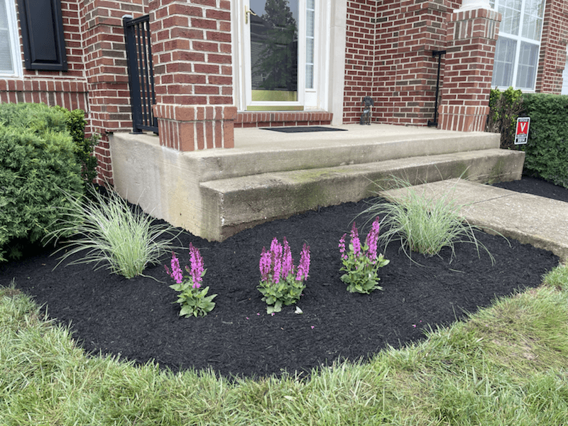Front entrance bed with fresh mulch and flowers