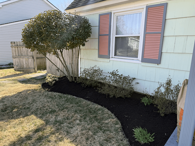 Front yard landscaping bed with fresh mulch